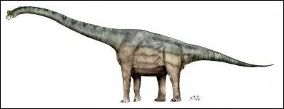 Le Brachiosaure est visible dans...