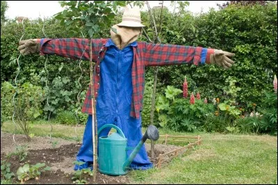 Un &eacute;pouvantail, des ... ?