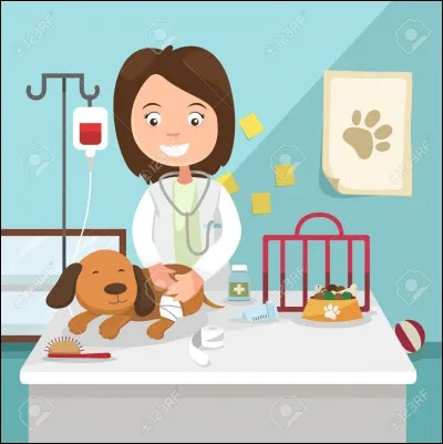 Tes maîtres t'emmènent au vétérinaire pour un vaccin. Une fois sur la table, que fais-tu ?