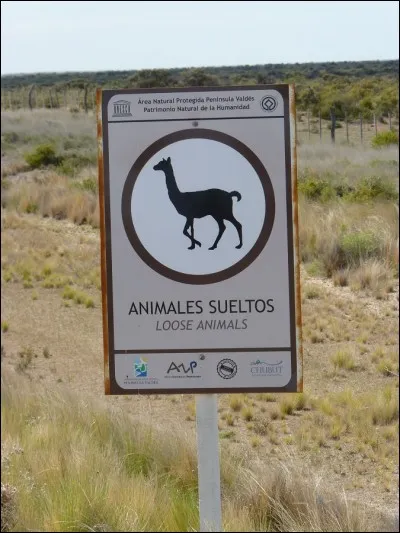 L'animal devrait suffire à vous guider !