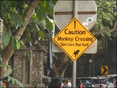 Pays composé d'îles, beaucoup d'îles, pour tout dire, c'est le plus grand archipel du monde !