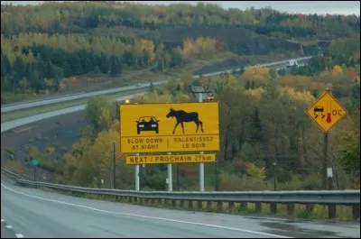 Un pays qui fleure bon l'érable !