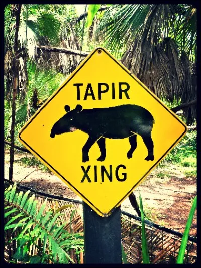 Petit pays, mais riche de diversité animale et végétale !