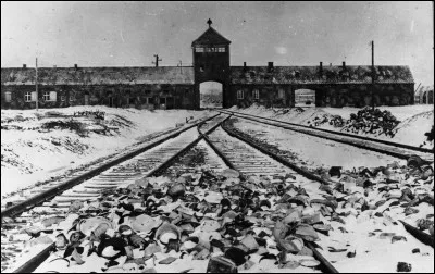 Dans quel pays se trouve l'ancien camp de concentration d'Auschwitz-Birkenau ?
