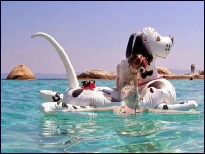 À partir de mars, les mois de 30 jours alternent avec ceux de 31 jours, sauf deux mois. Lesquels ?