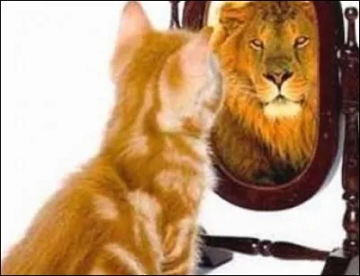 Combien de semaines entières y a-t-il dans une année de 365 jours ?