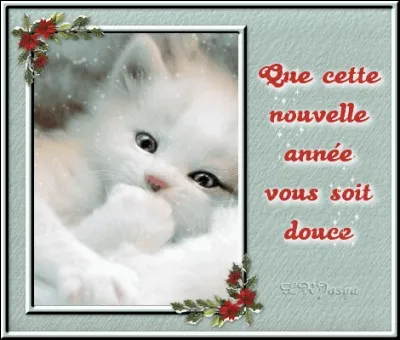 Dans l'ordre, quels sont les six derniers mois de l'année ?