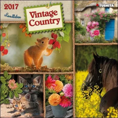 Combien de mois ont un nom se terminant par "embre" ?