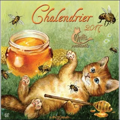 Quelle saison suit immédiatement le printemps ?