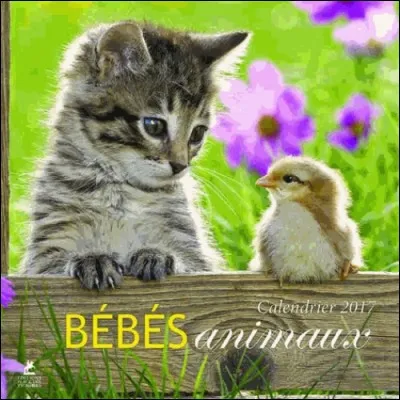 Combien de mois ont un nom de quatre lettres ?