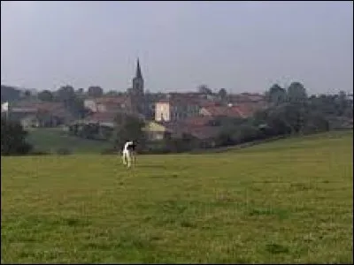 Mandres-en-Barrois est une commune Meusienne située dans la nouvelle région ...