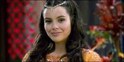 Quel est le titre de cette série : "Son Altesse..."