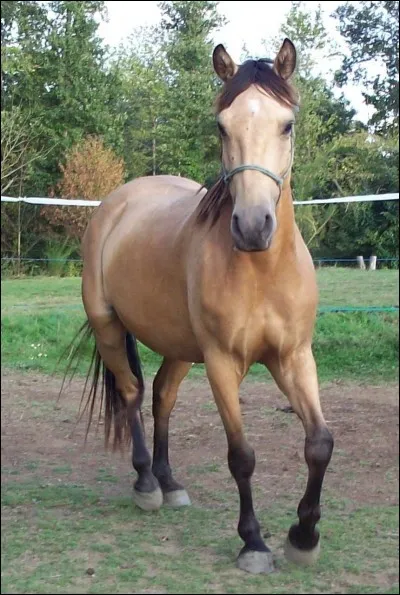 Quelle est cette couleur ?