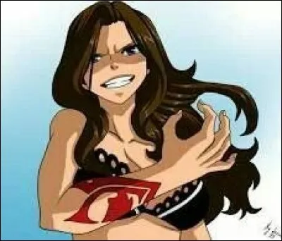 Quelles sont les trois grandes magies de cette guilde ?