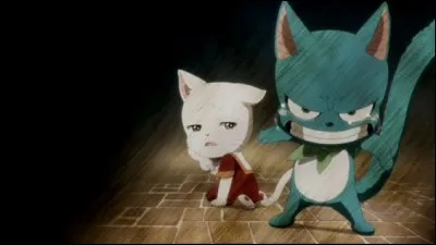 Comment sont considérés Panther Lily, Happy et Carl dans le monde alternatif à Earthland ?