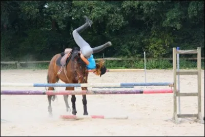 Quand tu tombes en CSO et que tu as trop mal au coccyx :