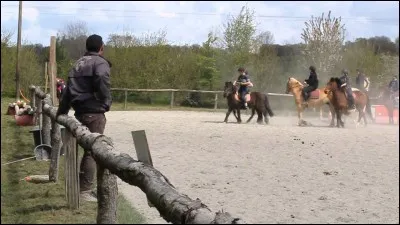 Quand tu fais du horseball :