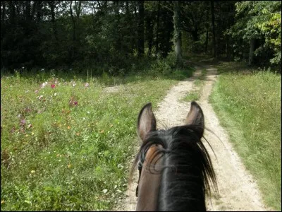 Quand tu pars en balade :