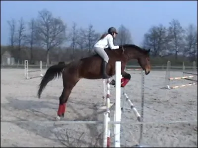Quand tu sautes avec ton cheval à cru :