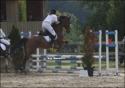 Quand tu dois aller en compétition et que tu ne trouves pas tes habits :