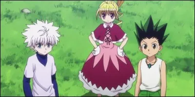 Où se rendent Gon et Kirua dans "Hunter x Hunter" ?