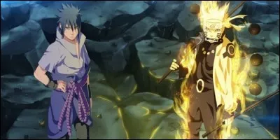 Dans "Naruto Shippûden", qui est incarné en Naruto et Sasuke ?