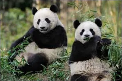 Quand la serre tropicale pour gorilles et lamantins fut-elle installée ?