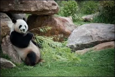 Quelle est la superficie de la plaine africaine ?