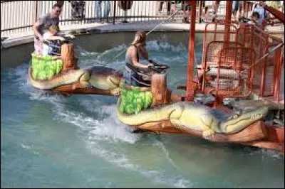 Que retrouve-t-on en grande quantité dans l'Alligator Island ?