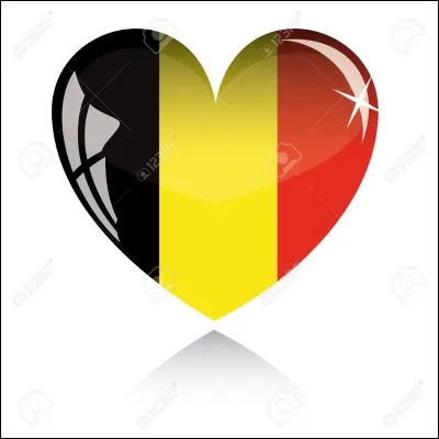 La Belgique est bordée par la France, les Pays-Bas, l'Allemagne, le Luxembourg et la mer du Nord.