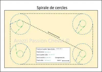 Quelles figures de manège contiennent un cercle ou un demi-cercle ?