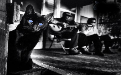 Qui a écrit le roman "Blues pour un chat noir" ?
