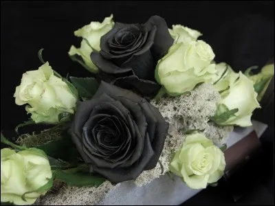 Qui jouait dans le film "La mariée était en noir" ?