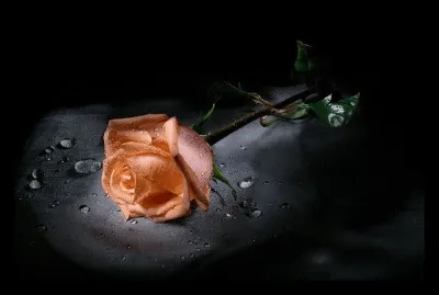 Et si vous avez entièrement échoué sur ce quiz, je vous donne un mot d'espoir :