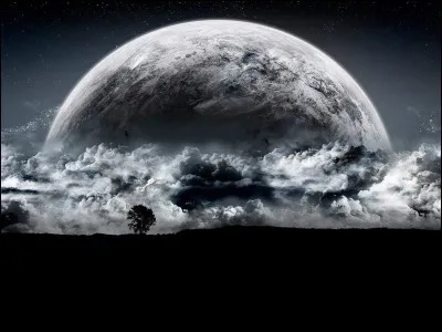 Qu'est ce que le noir de Campêche ?