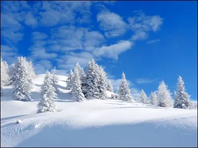 Musique - Quel chanteur s'en est allé dormir dans son paradis blanc ?