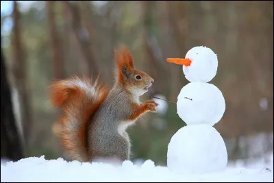 Sport - Quel club de football Laurent Blanc n'a-t-il jamais entraîné ?