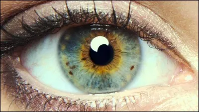 Quels sont les deux films r&eacute;alis&eacute;s par Mike Cahill ?