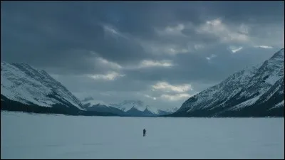 Pour quel film Leonardo DiCaprio a-t-il re&ccedil;u son oscar ?