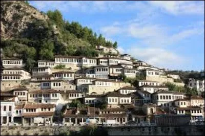 Quelle est la langue officielle de l'Albanie ?