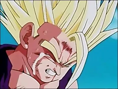 Qui a tué le père de Sangoku ?