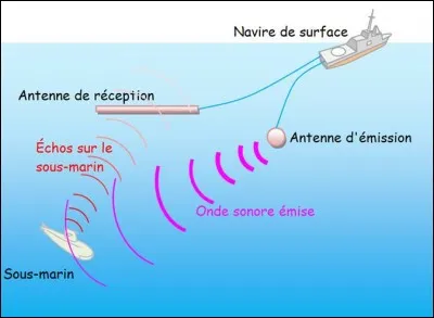 Le signal d'écholocation des cétacés et des chauves-souris est étudié depuis des décennies afin d'améliorer les radars et sonars dits intelligents !