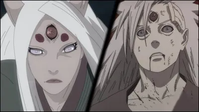 Qui porta le coup final en tuant Madara Ushiwa, réincarné en Kaguya Ötsutsuki ?