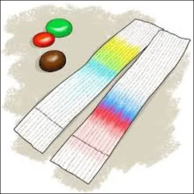 Qu'est-ce qu'une technique de séparation des constituants d'un mélange homogène ?