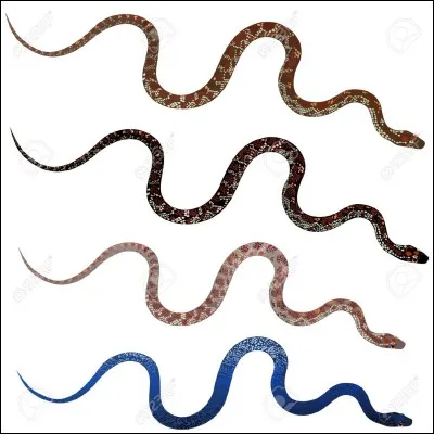 Quel est le premier animal qu'il rencontre ?