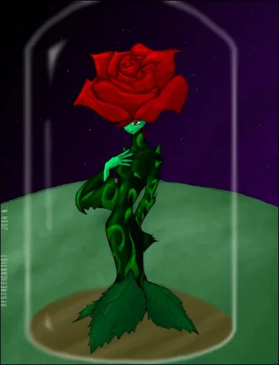 Quel est le type de fleurs qu'il a rencontré ?