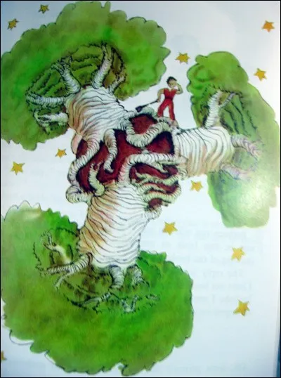 Quelle est la plante qui pousse chez "Le Petit Prince" ?