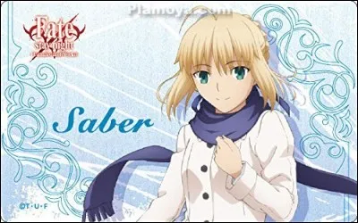 Quel est le véritable nom de ce servant ?