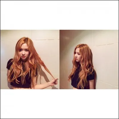 Quel est le nom de ce membre ?