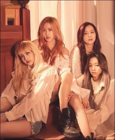 Qui est chanteuse, danseuse principale, maknae et rappeuse secondaire ?